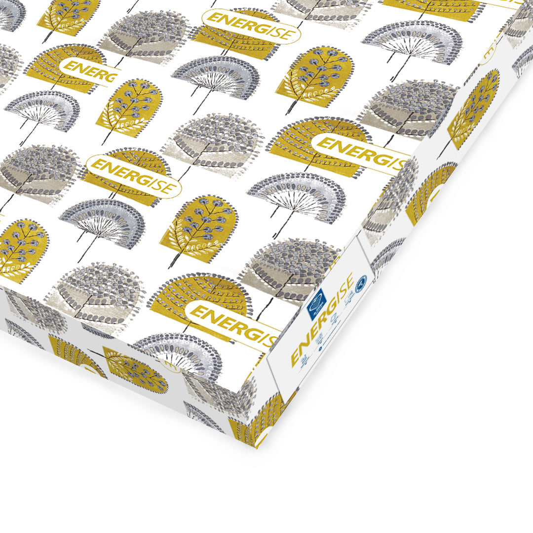 Spring Mattress