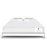 Araamco® Spine Guard